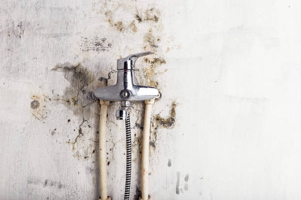Mold Removal Process in Baker, MT