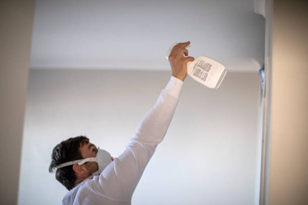 Best Commercial Mold Removal  in Baker, MT