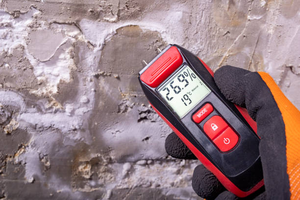 Best Mold Removal Process  in Baker, MT