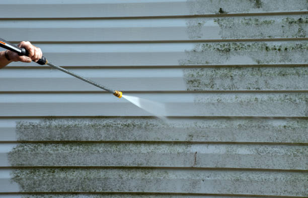 Certified Mold Removal in Baker, MT