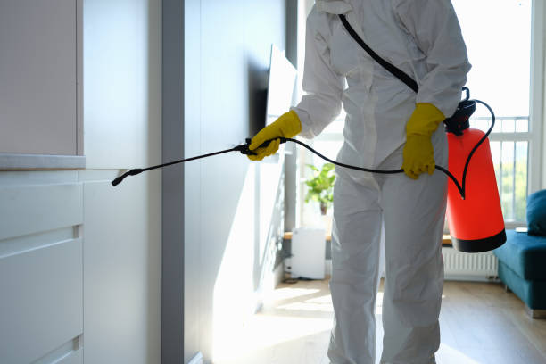 Best Professional Mold Removal  in Baker, MT