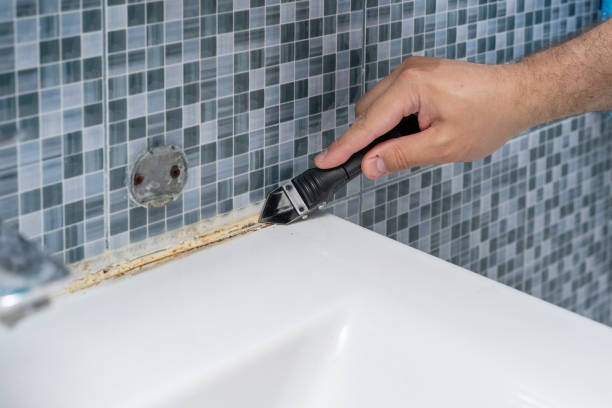 Best Mold Remediation  in Baker, MT