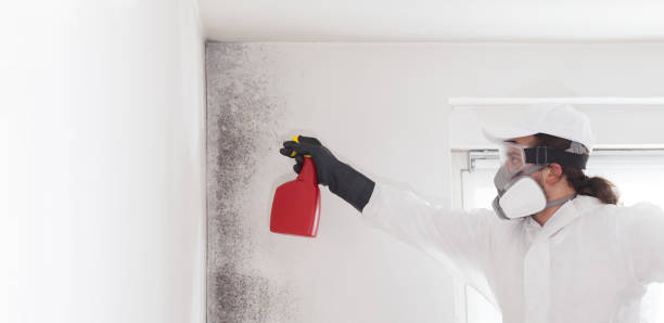 Best Professional Mold Removal  in Baker, MT
