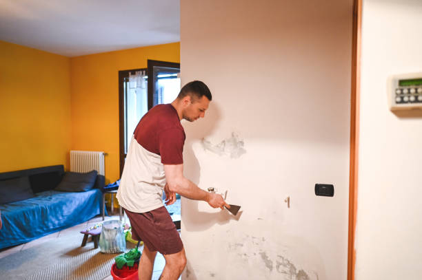 Best Mold Damage Repair  in Baker, MT