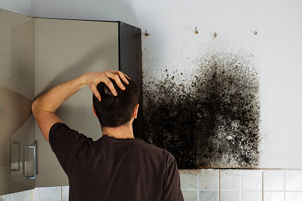 Best Mold Cleaning Services  in Baker, MT