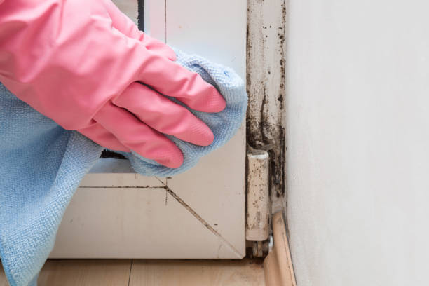 Best Crawl Space Mold Removal  in Baker, MT